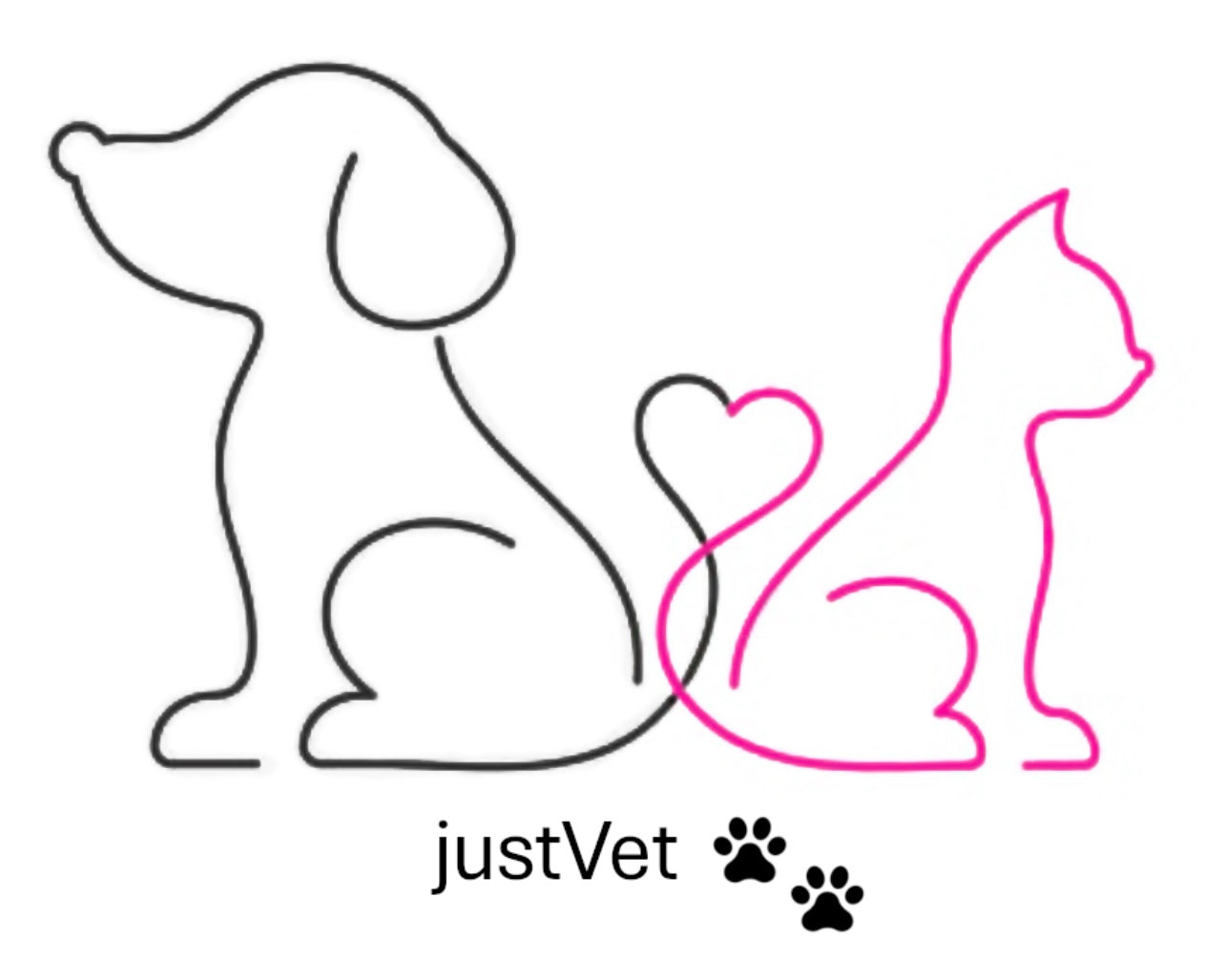 JustVet Poland